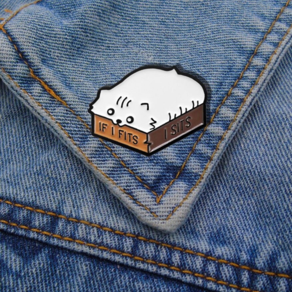 🔵 80% off 🔵  Cat in a Box Pin
